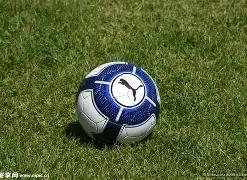 GB,纸及纸制品,重金属含量,B体育平台,B体育官方网站,B体育登录入口,B体育app下载