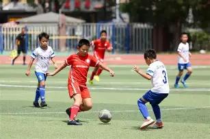 重金属危害,特性知识广,度与持久性,B体育平台,B体育官方网站,B体育登录入口,B体育app下载