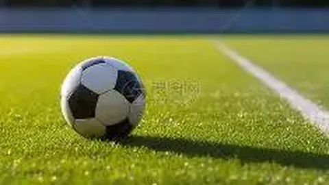 B体育 产品 085259 xic