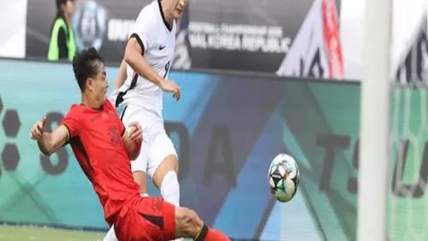 孙颖莎：2025国际赛季圆满收官